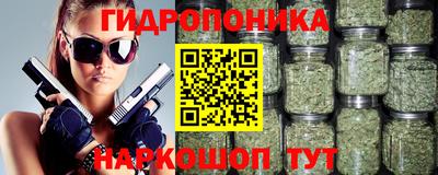 мет Можга