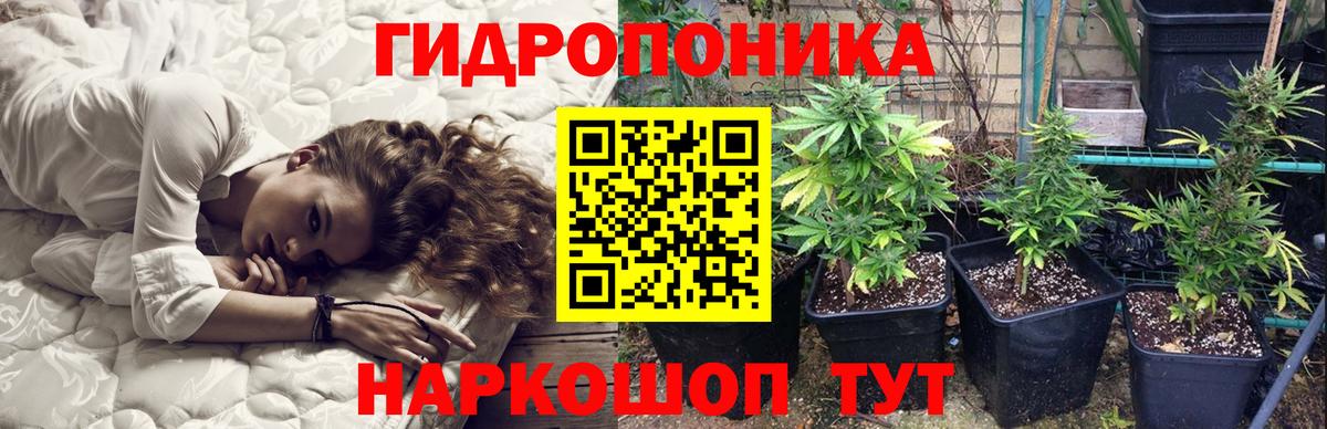 Бошки марихуана THC 21% Великий Новгород